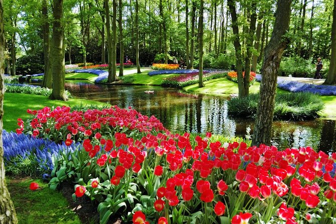 Day Trip to Keukenhof Gardens from Amsterdam with Tour Guide - Should you book this Keukenhof tour?