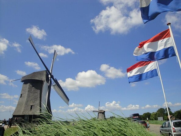 Discover Holland’s Beautiful Tulip Fields with an Expert Guide - Key things to know before you go