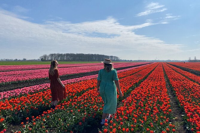 Discover Holland’s Beautiful Tulip Fields with an Expert Guide - Should you book Tulip Tours Holland?