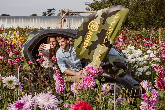 Drive it yourself electric Dune & Summer Flower GPS audio tour - Keukenhof Castle and the Dahlia Show Gardens