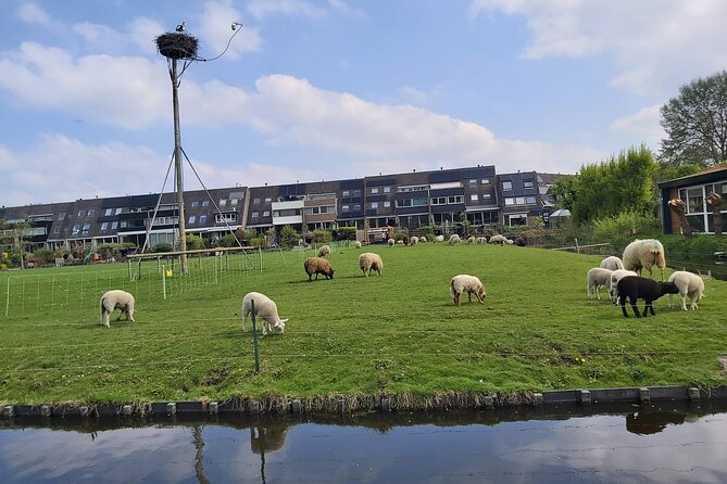 Dutch Windmills & Polder Walking Tour - Stop 3 at De Zijl: river walking, Dutch houses, and photo time