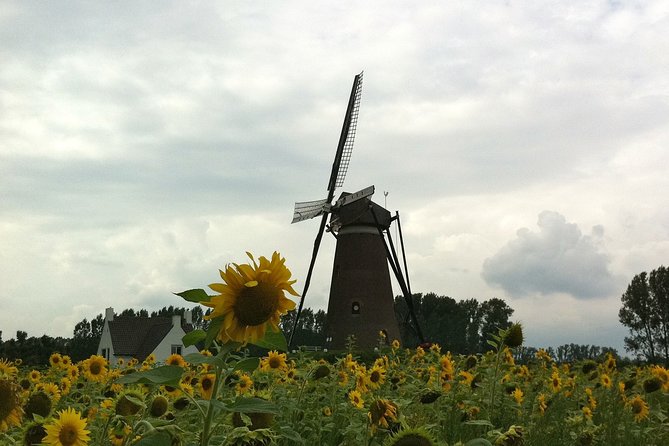 Eindhoven: E-Fatbike Tour In The Footsteps of Vincent van Gogh - Eindhoven to Nuenen on an E-Fatbike: why the route feels made for art lovers