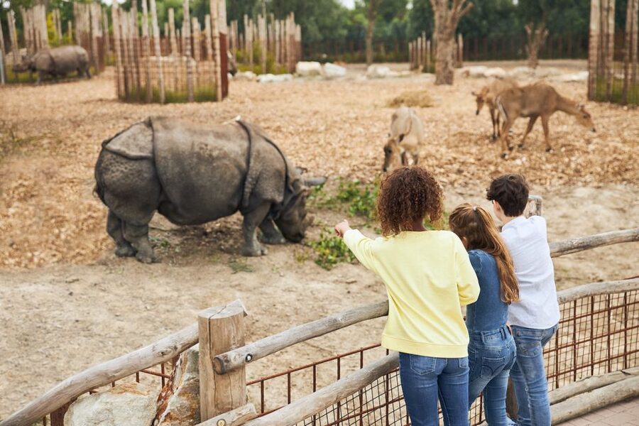 Eindhoven Zoo Entry Ticket - Eindhoven Zoo Tickets: What the $28 Entry Really Buys You