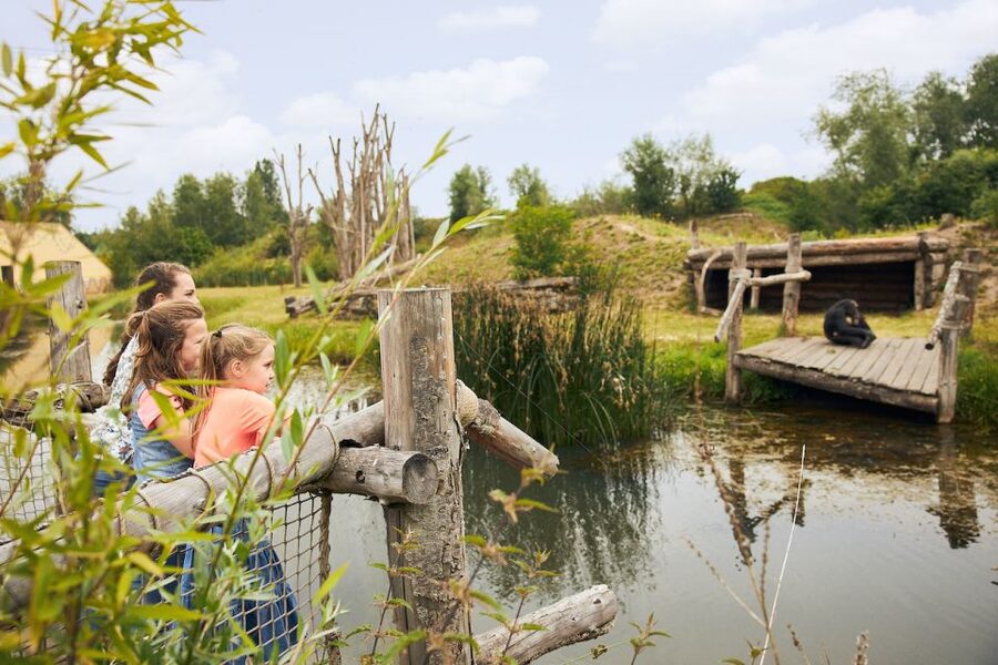 Eindhoven Zoo Entry Ticket - What to Bring, What to Wear, and How to See More