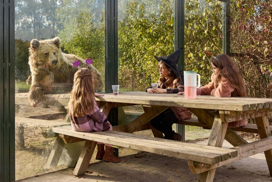 Eindhoven Zoo Entry Ticket - Should You Book Eindhoven Zoo Entry Tickets?