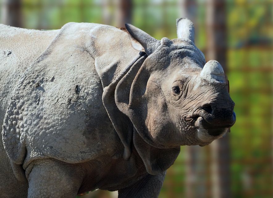 Eindhoven Zoo Entry Ticket - Planning a Calm 1-Day Route Through 96 Animal Species
