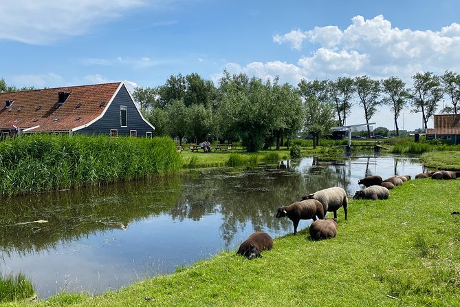 Escape Amsterdam: E-Bike to Zaanse Schans Windmills & Zaandam - Why this e-bike route beats a bus day
