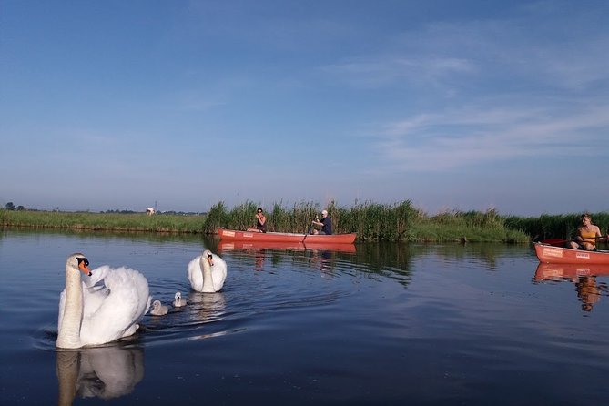 Fresh nose tour with the canoe through the nature near Amsterdam - Lunch in the Wetlands Safari garden, if you bring your own