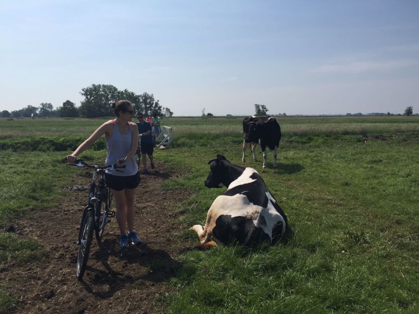 From Amsterdam: Countryside Bike Tour - North Holland by bike: villages, farms, and the views you can actually enjoy