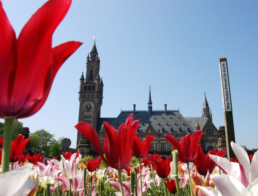 From Amsterdam: Guided Trip to Rotterdam, Delft & The Hague - Why this day trip is such a smart South Holland sampler