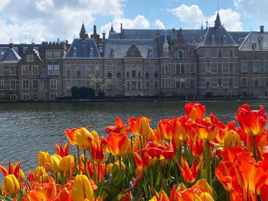 From Amsterdam: Guided Trip to Rotterdam, Delft & The Hague - The long drive to Rotterdam: where the time actually goes