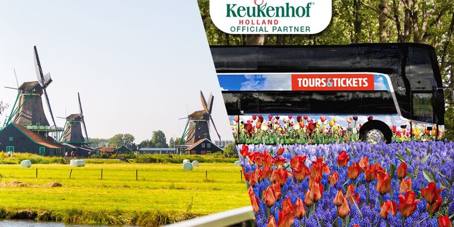 From Amsterdam: Keukenhof and Dutch Countryside Tour - Comfort, Group Size, and Long-Day Reality: What You Need to Bring