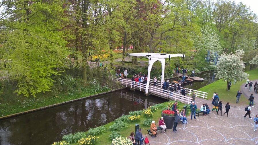 From Amsterdam: Keukenhof and Zaanse Schans Small Group Tour - What to wear and bring for the best Keukenhof and Zaanse Schans day