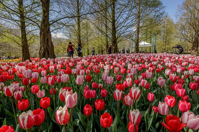 From Amsterdam: Keukenhof Gardens Ticket and Transfer - The bus ride experience: comfort, windows, and crowd planning
