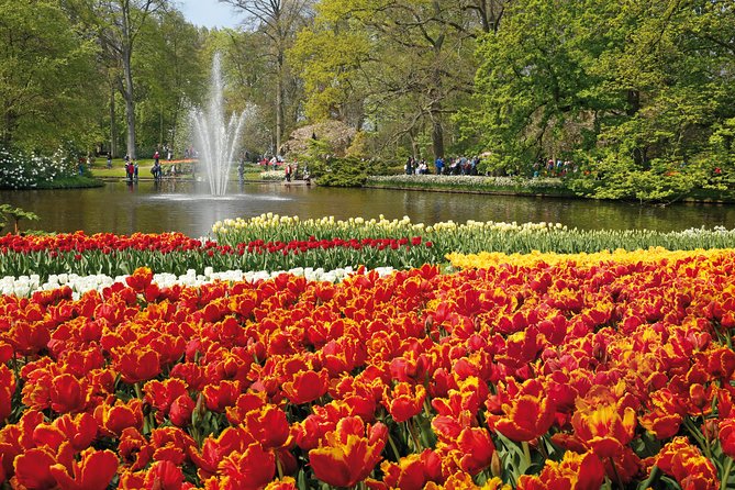 From Amsterdam: Keukenhof Gardens Ticket and Transfer - Timing realities: when everything depends on the return bus