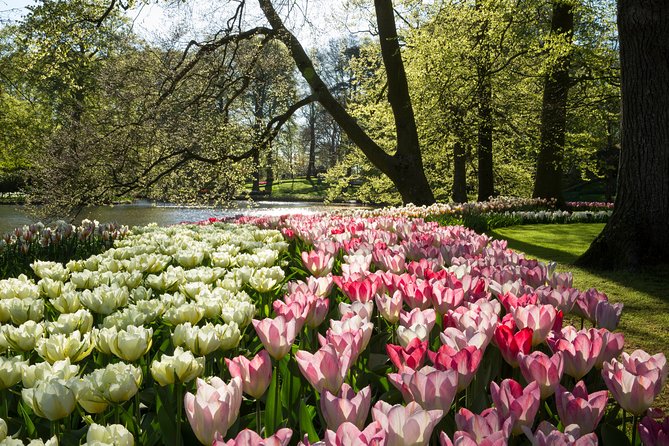 From Amsterdam: Keukenhof Gardens Ticket and Transfer - Who this tour fits best