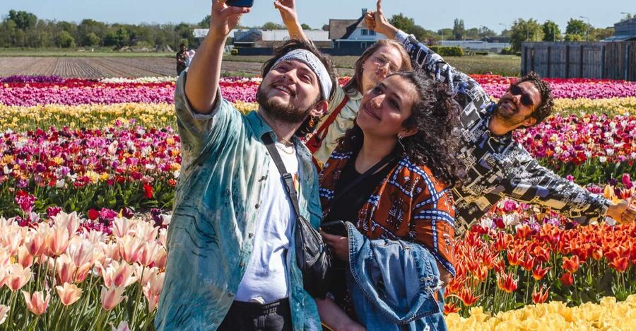 From Amsterdam: Keukenhof Gardens & Tulip Experience Tour - The big picture: a smart way to do Keukenhof from Amsterdam