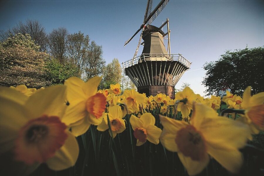 From Amsterdam: Keukenhof Gardens & Tulip Experience Tour - What “guided” actually means on this kind of tour