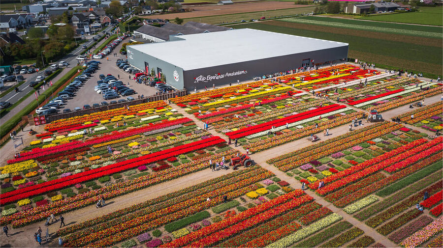 From Amsterdam: Keukenhof Gardens & Tulip Experience Tour - How to make the most of your time (without feeling rushed)