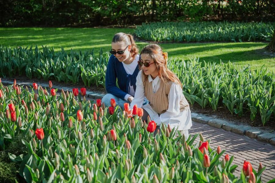 From Amsterdam: Keukenhof Ticket with Transfer - Should you book this Keukenhof day trip from Amsterdam?