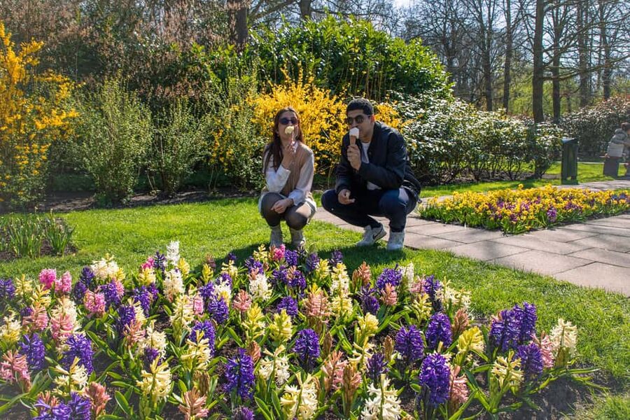 From Amsterdam: Keukenhof Ticket with Transfer - My quick tips to keep the day fun