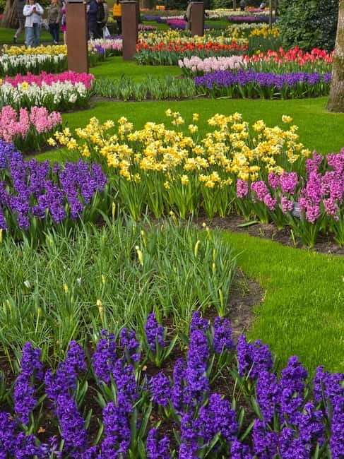 From Amsterdam: Keukenhof Tulips, Windmills & Volendam - Price and value: what you really get for about $199