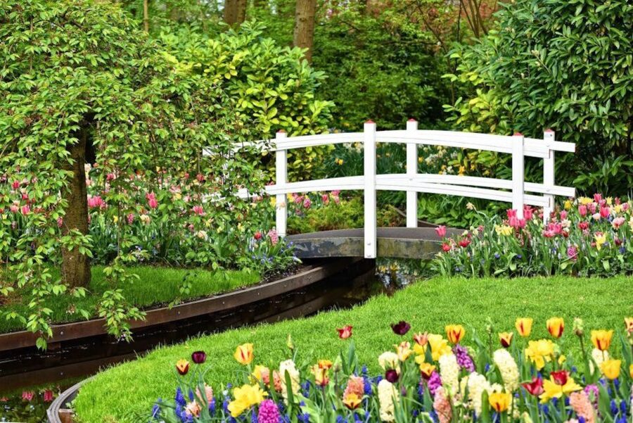 From Amsterdam: Private Keukenhof and Tulip Experience Tour - Private Mercedes Pickup: Fewer Hassles, More Flower Time