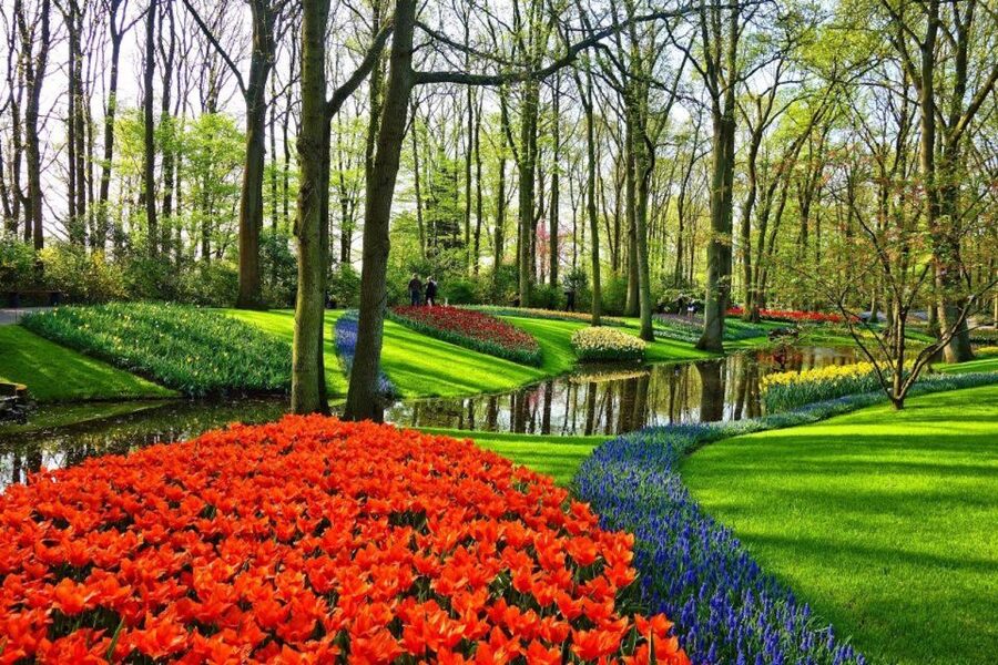 From Amsterdam: Private Keukenhof and Tulip Experience Tour - The 5-Hour Plan: A Realistic Timeline That Keeps You on Track