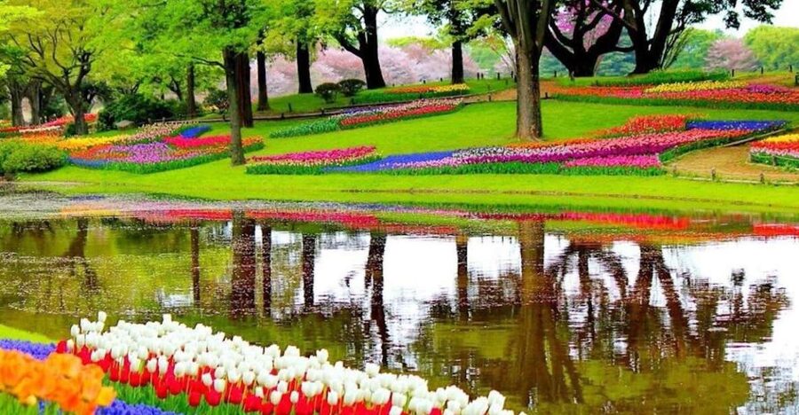 From Amsterdam: Private Keukenhof and Tulip Experience Tour - Keukenhof in Lisse: Millions of Blooms Without the Rush