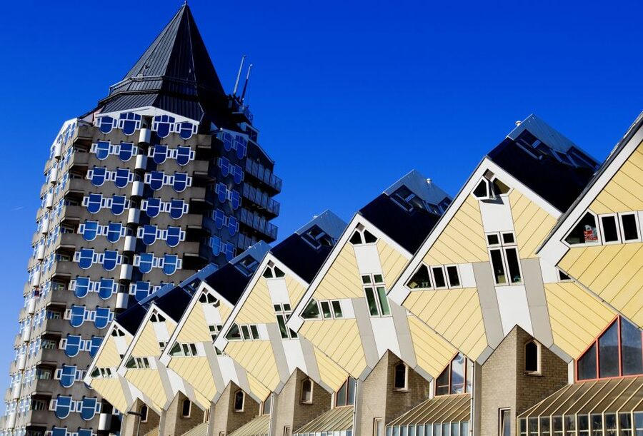 From Amsterdam: Rotterdam and The Hague Tour in Spanish - Who This Tour Suits Best
