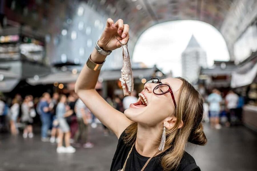 From Amsterdam: Rotterdam, Delft & The Hague Guided Day Tour - Who should book this day trip, and who should not