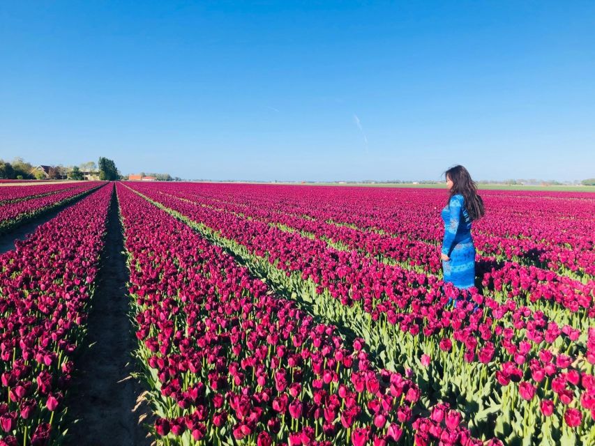 From Amsterdam: Small Group Keukenhof & City Tour Delft - Keukenhof Gardens, timed right, with a walking tour focus