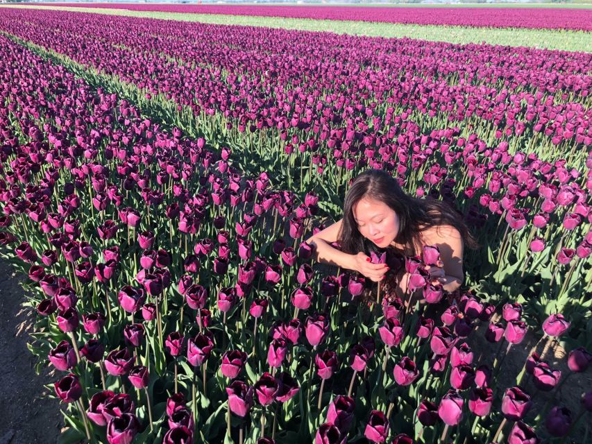 From Amsterdam: Small Group Keukenhof & City Tour Delft - What to pack, especially the no-luggage rule