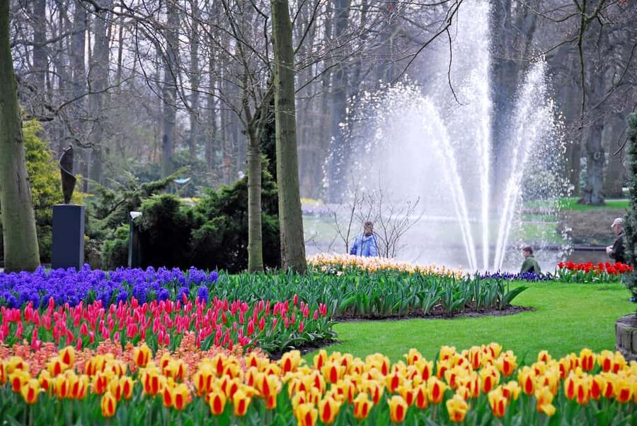 From Brussels: Keukenhof & Windmills Full-Day Guided Tour - Key highlights I think are worth your attention