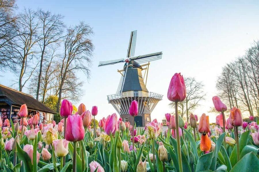 From Brussels: Keukenhof & Windmills Full-Day Guided Tour - Zaanse Schans: working windmills plus clogs and cheese
