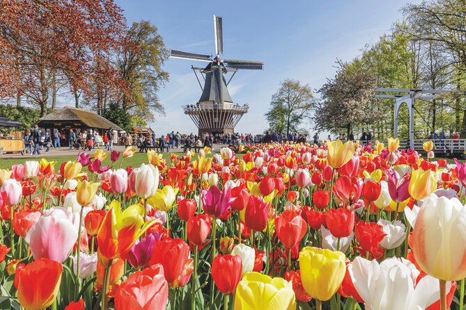 Full-Day Skip the Line Keukenhof and Canal Cruise from Amsterdam - Key highlights you should care about