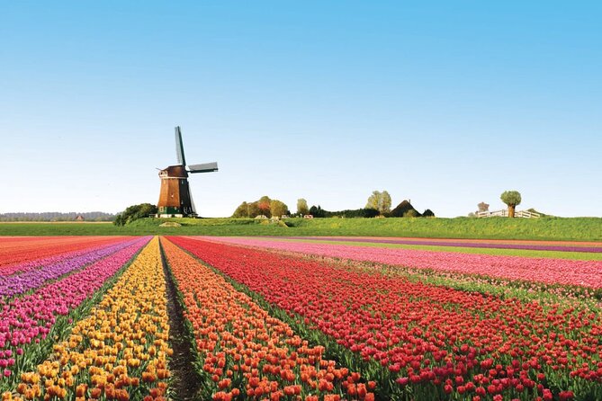 Full-Day Skip the Line Keukenhof and Canal Cruise from Amsterdam - Getting to Keukenhof from Amsterdam Without the Stress