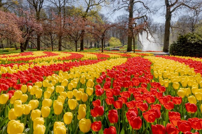 Full-Day Skip the Line Keukenhof and Canal Cruise from Amsterdam - Practical Details: Where to Meet and How the Day Flows