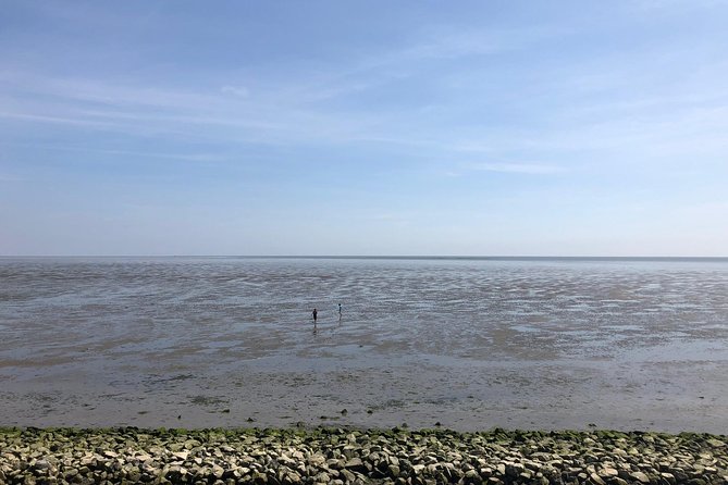 Full day tour to Texel - Friesian Islands - from Amsterdam - Timing, weather, and what to pack for a Wadden Sea day