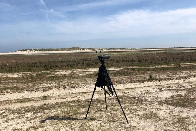 Full day tour to Texel - Friesian Islands - from Amsterdam - Who this Texel trip suits best