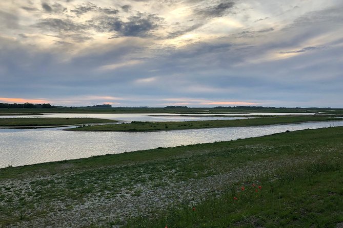 Full day tour to Texel - Friesian Islands - from Amsterdam - Should you book the Texel full-day tour from Amsterdam?