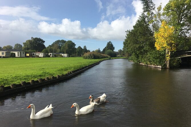 Giethoorn and Zaanse Schans Day Tour Small Group Incl. Boat Ride - Zaanse Schans: windmills, cheese, clogs, and the Royal Lady diamond