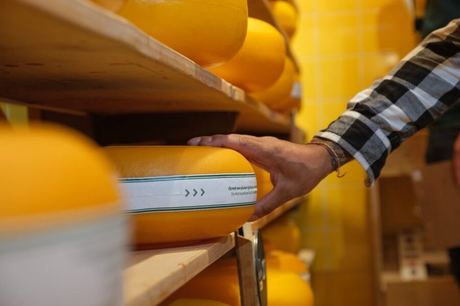 Gouda: Gouda Cheese Experience Entry Ticket - From Polder to Cheese Market to Your Plate
