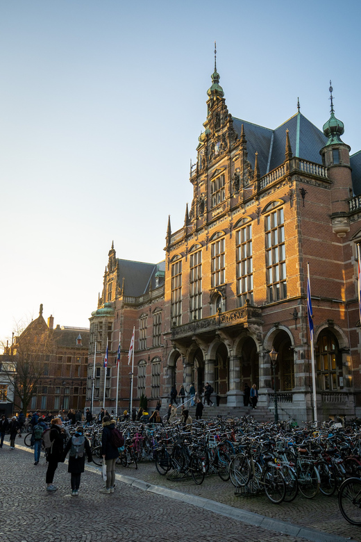 Groningen: Walking Tour with Local Guide - Martini-toren: more than a gray tower photo op