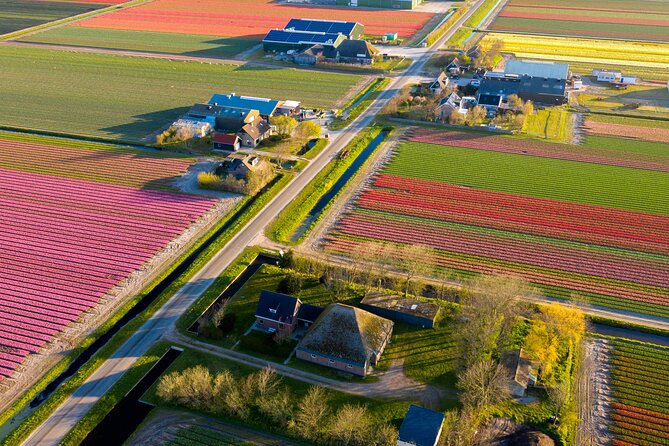 Guided Bike Tour along the Dutch Tulip Fields in Noord Holland - Key things you should know before you ride