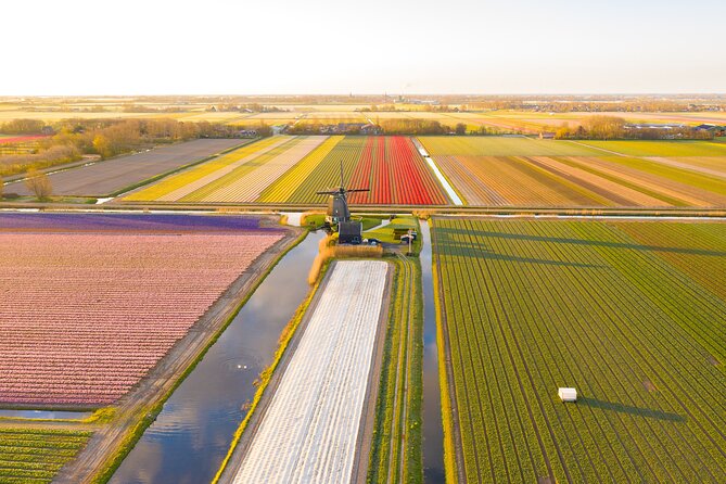 Guided Bike Tour along the Dutch Tulip Fields in Noord Holland - Noord Holland tulips feel real when you pedal