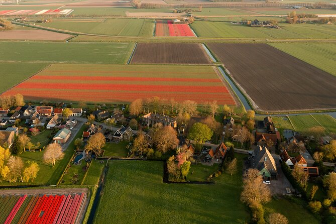 Guided Bike Tour along the Dutch Tulip Fields in Noord Holland - Schagen to the fields: how the day actually unfolds