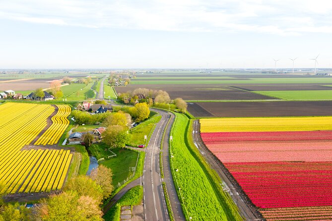 Guided Bike Tour along the Dutch Tulip Fields in Noord Holland - The 4-hour ride plan, distance, and how hard it really is