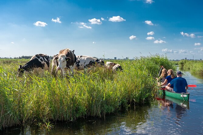 Guided Canoe Adventure with Picnic Lunch in Waterland from Amsterdam - Key highlights worth getting excited about
