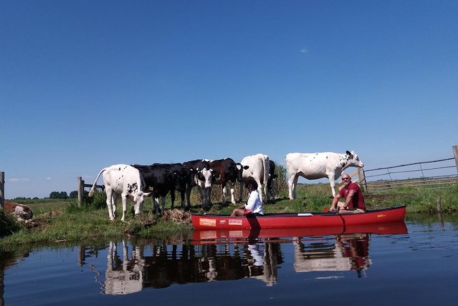 Guided Canoe Adventure with Picnic Lunch in Waterland from Amsterdam - The halfway island picnic is the heart of the day